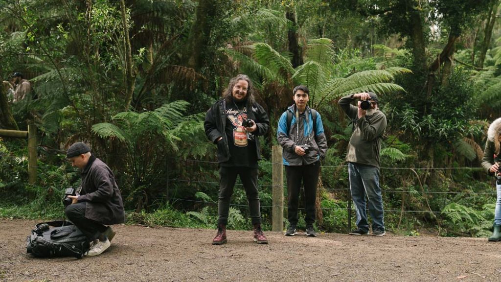 photo walk in the dandenong ranges