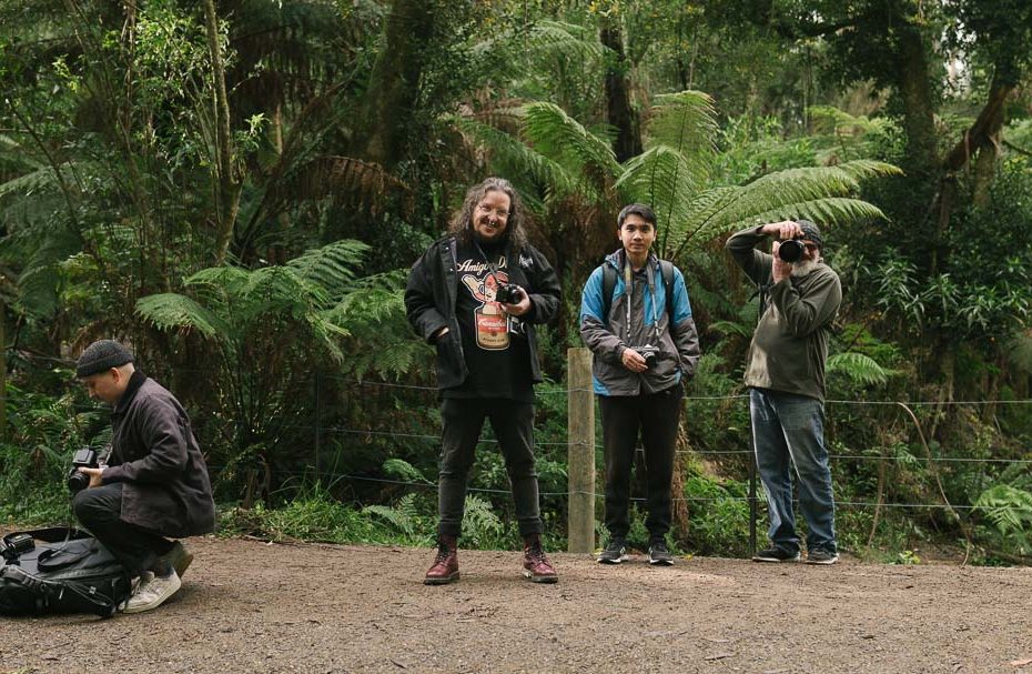 photo walk in the dandenong ranges