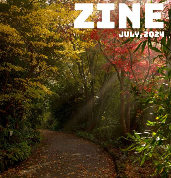 loop photography zine - mock cover of an autumn scene in mount dandenong